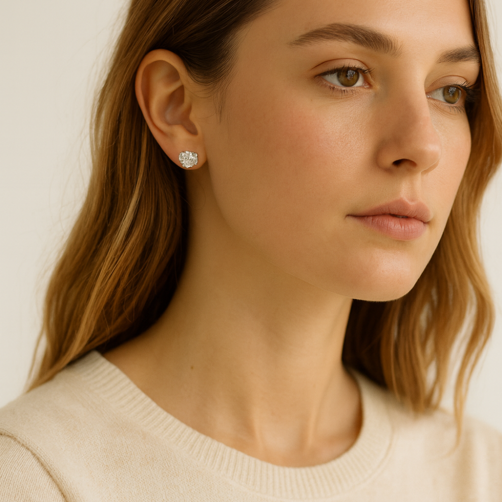 Danecraft Set De Zarcillos Fine Silver Plated Cubic Zirconia 5Und