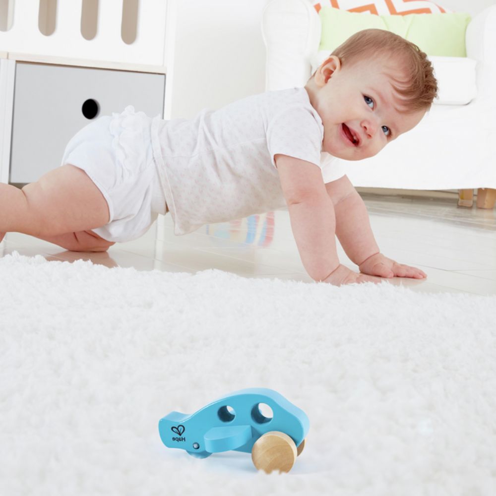 Hape Little Plane 10m+