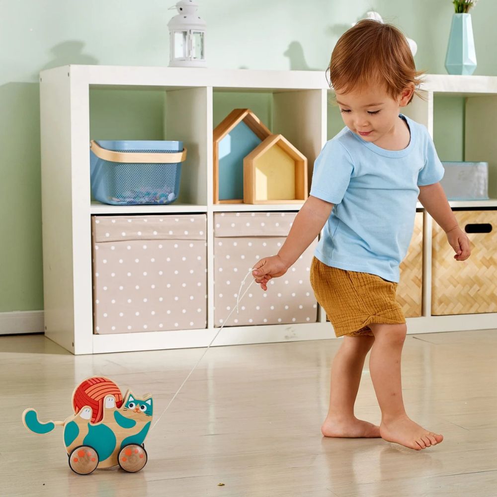 Hape Roll & Rattle Kitten 12m+