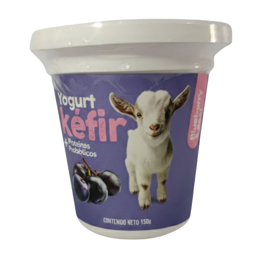 Mi Chivita Yogurt de Kefir Blueberry 150gr