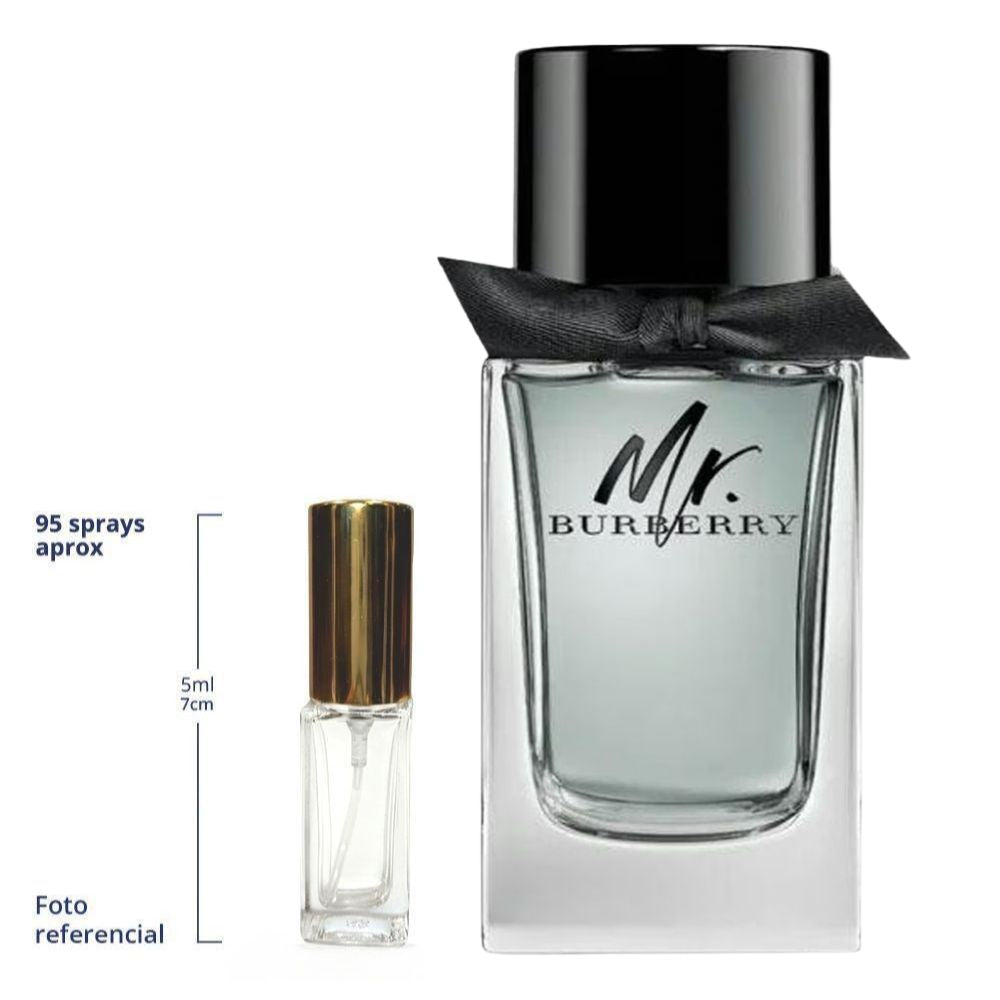 Burberry Mr Burberry Decant Travel Size Eau De Toilette For Men