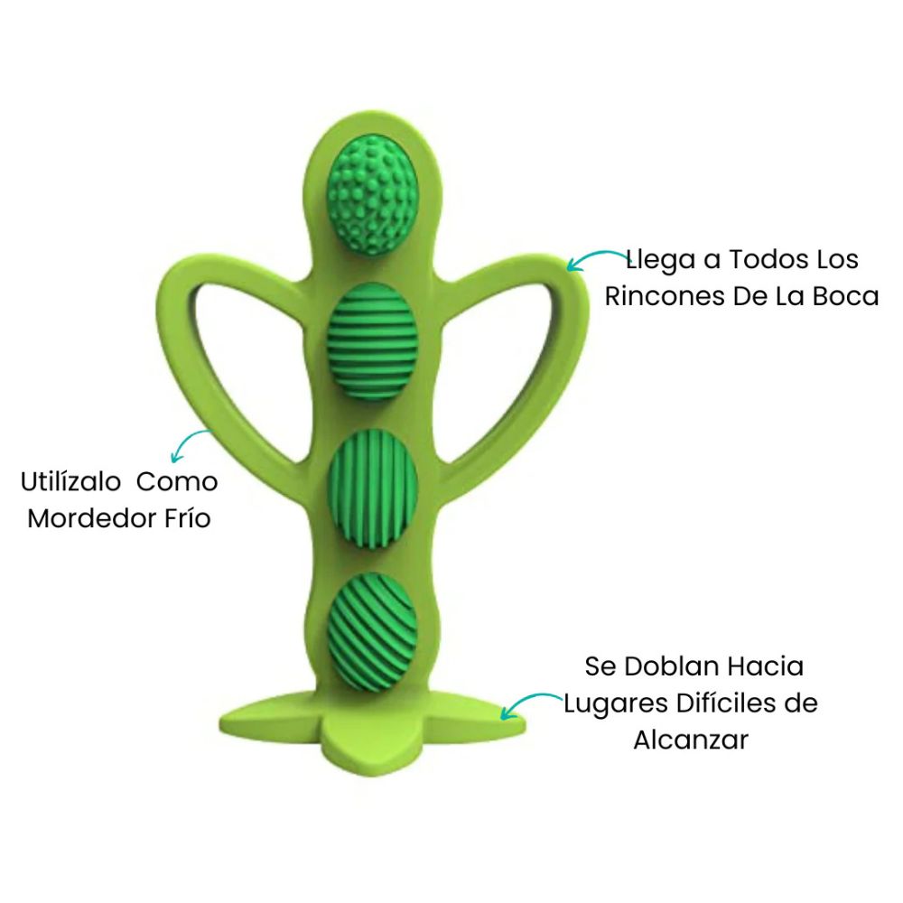 Dr.Browns Cepillo De Dientes De Aprendizaje Para Bebés 3m+