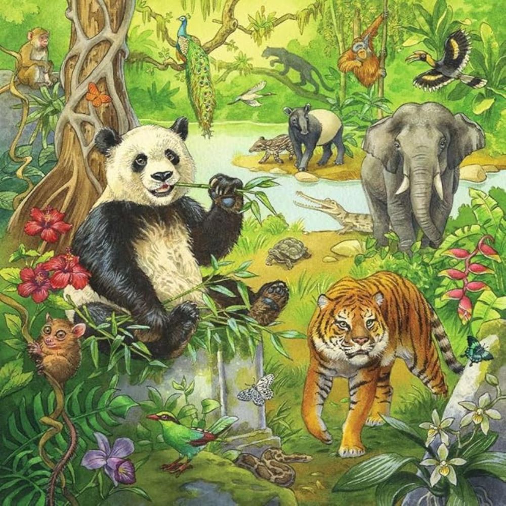 Ravensburger Rompecabezas Jungle Fun 3x49 Piezas