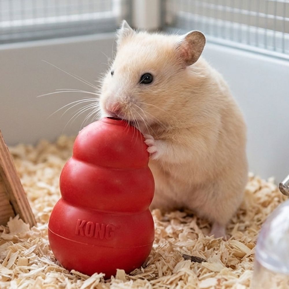 Kong Juguete Para Animales Pequeños Small 9Kg Rojo