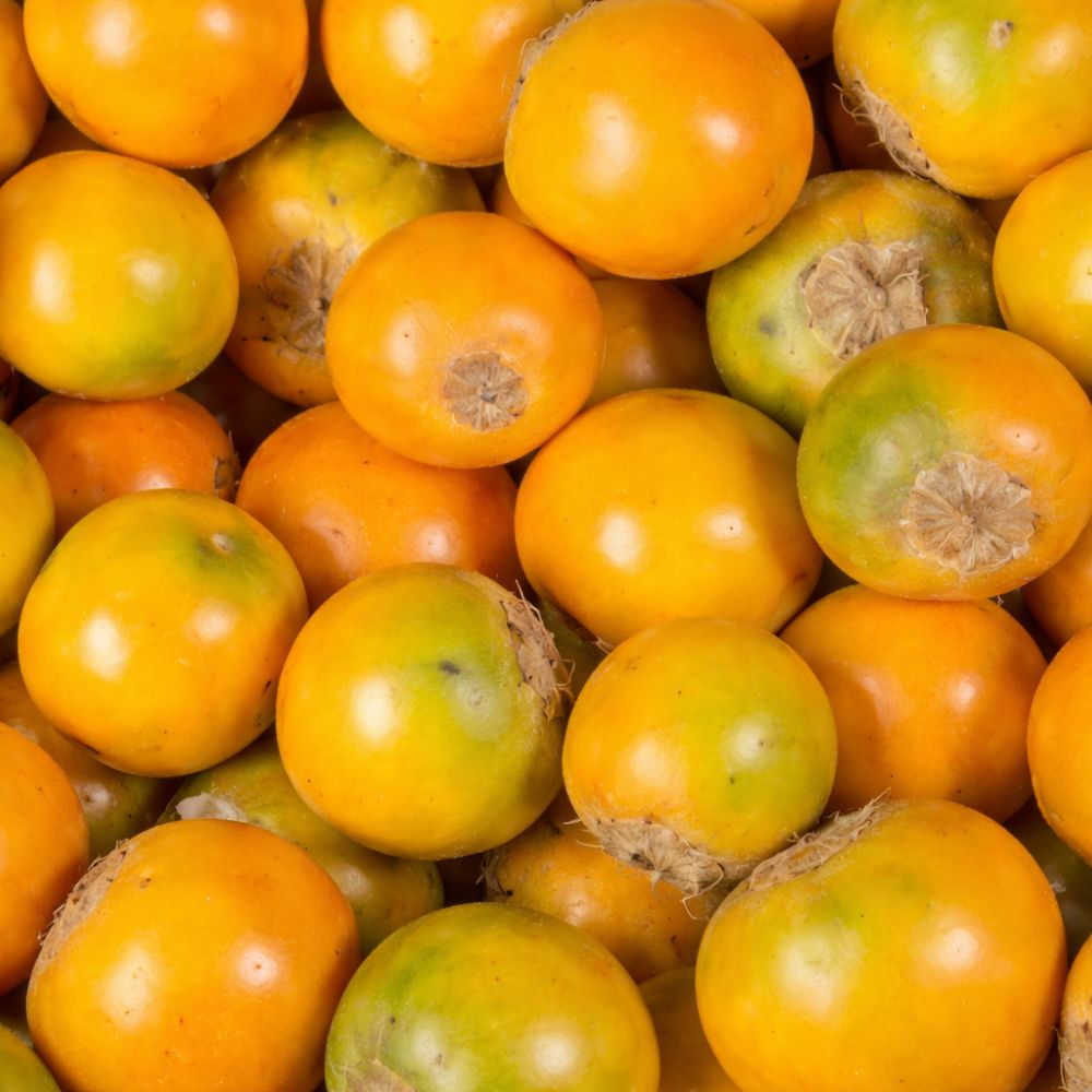 Manguangua Pulpa de Lulo Congelada 500gr