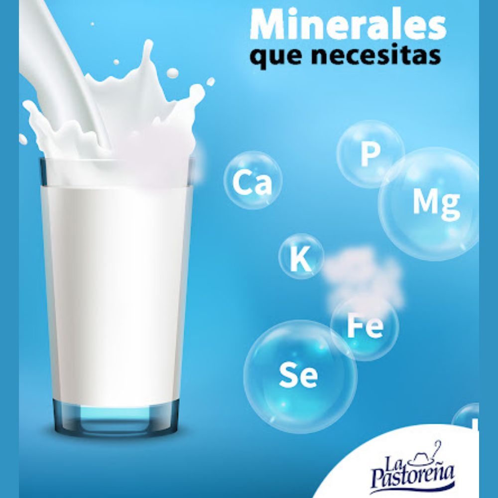 Leche Descremada La Pastoreña 1 Litro