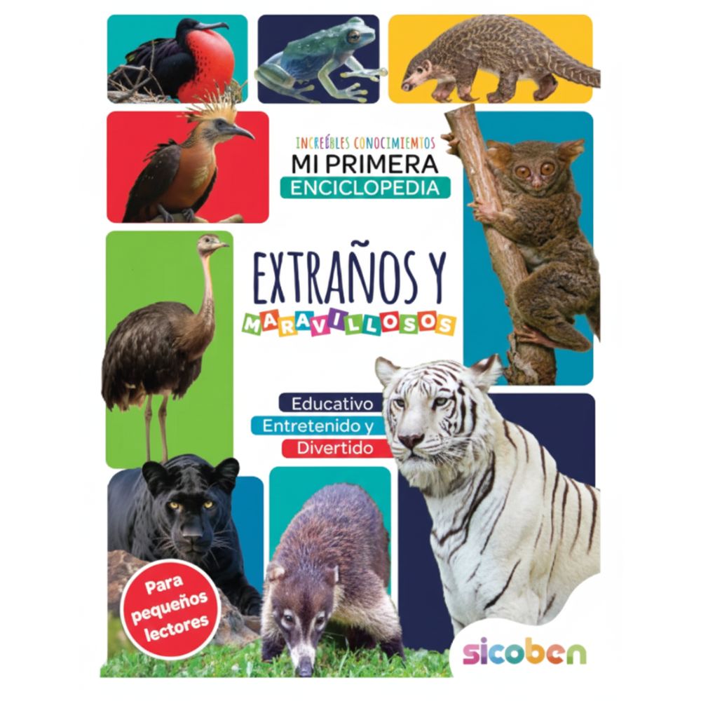 Libros Para Niños Increíbles Conocimientos Extraños Y Maravillosos