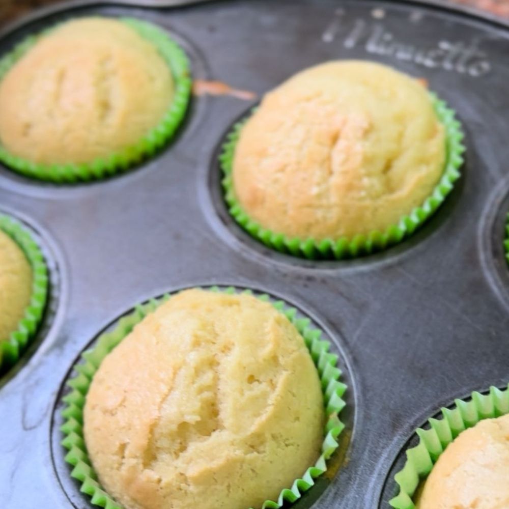 Out Gluten Mezcla Para Torta Sabor Vainilla 40gr