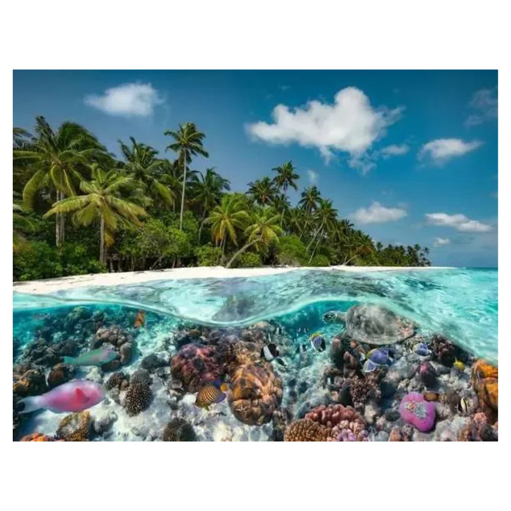 Ravensburger Rompecabezas A Dive The Maldives 2000 Pzas