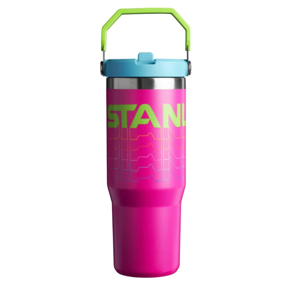 Stanley Termo The Iceflow Flip Straw Tumbler 30oz Vivid Violet Reverb