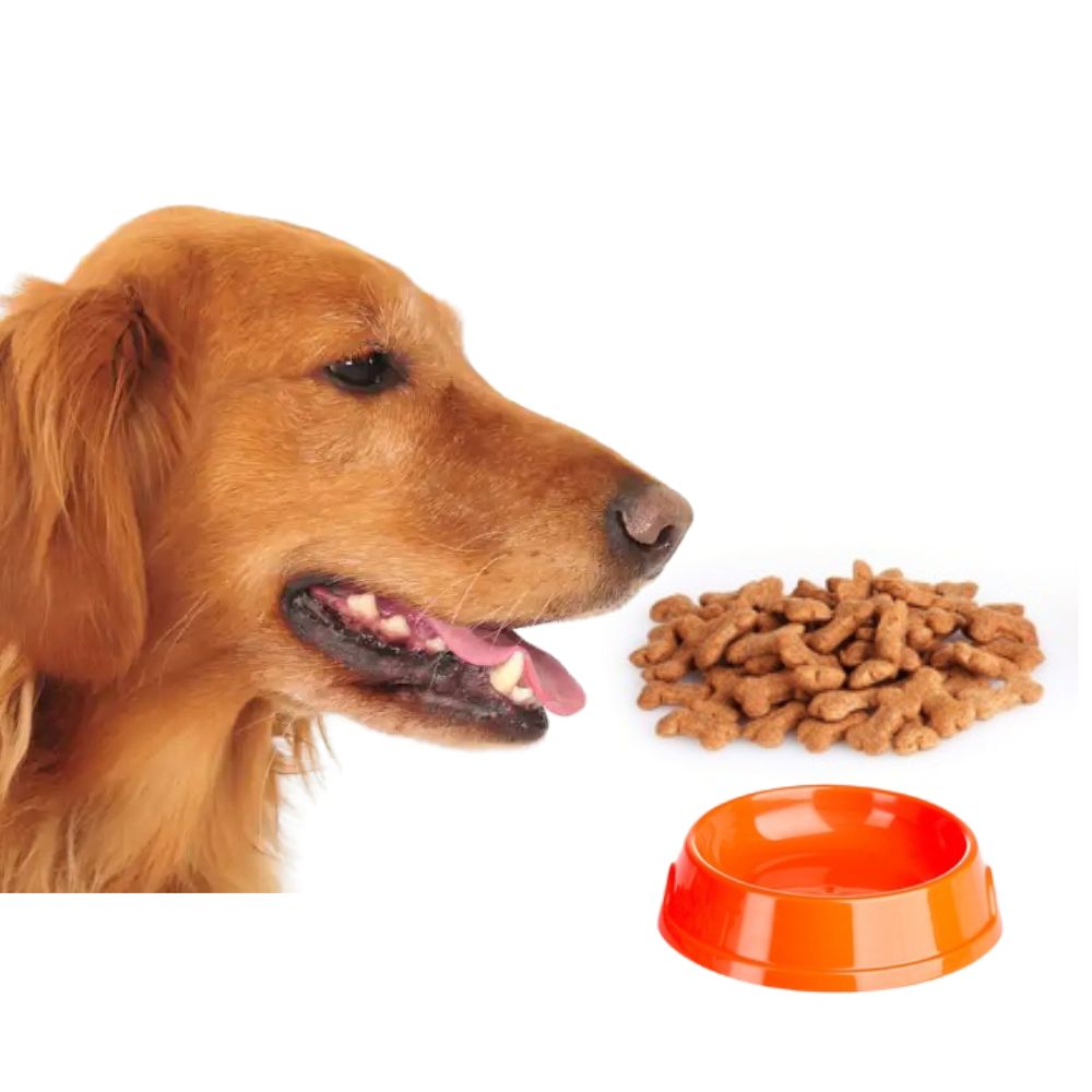 Super Can Adultos Carne Nacional 10 kg