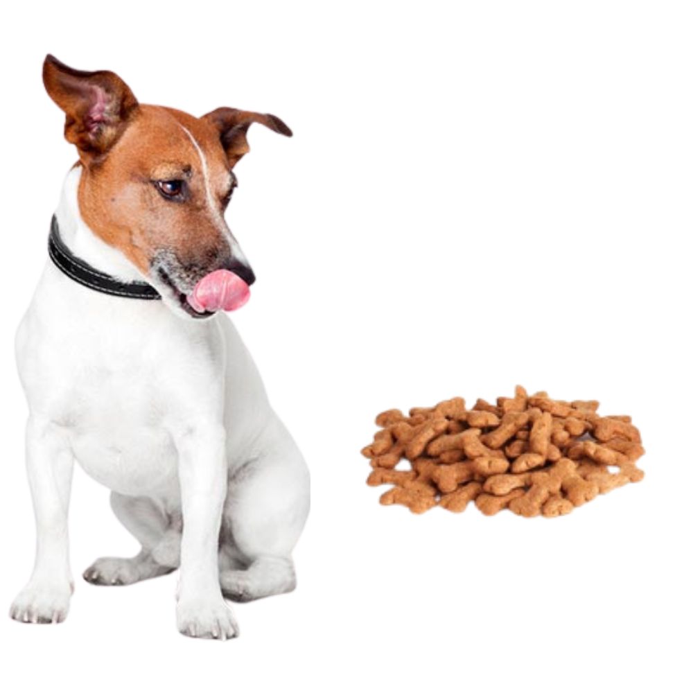 Super Can Adultos Carne Nacional 4 kg