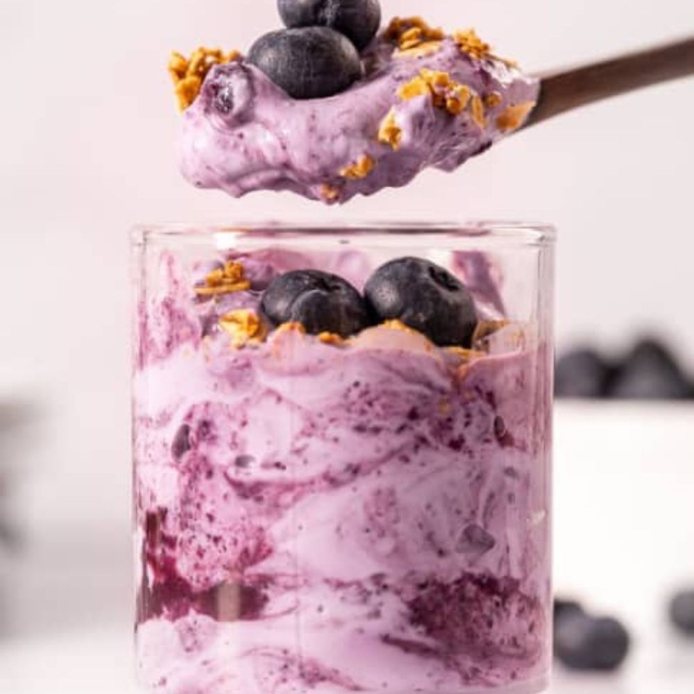 Yogurt Griego Yog Pro Descremado- Deslactosado Blueberry 500gr