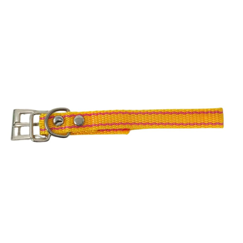 Collar para Perro Mostaza 32cm