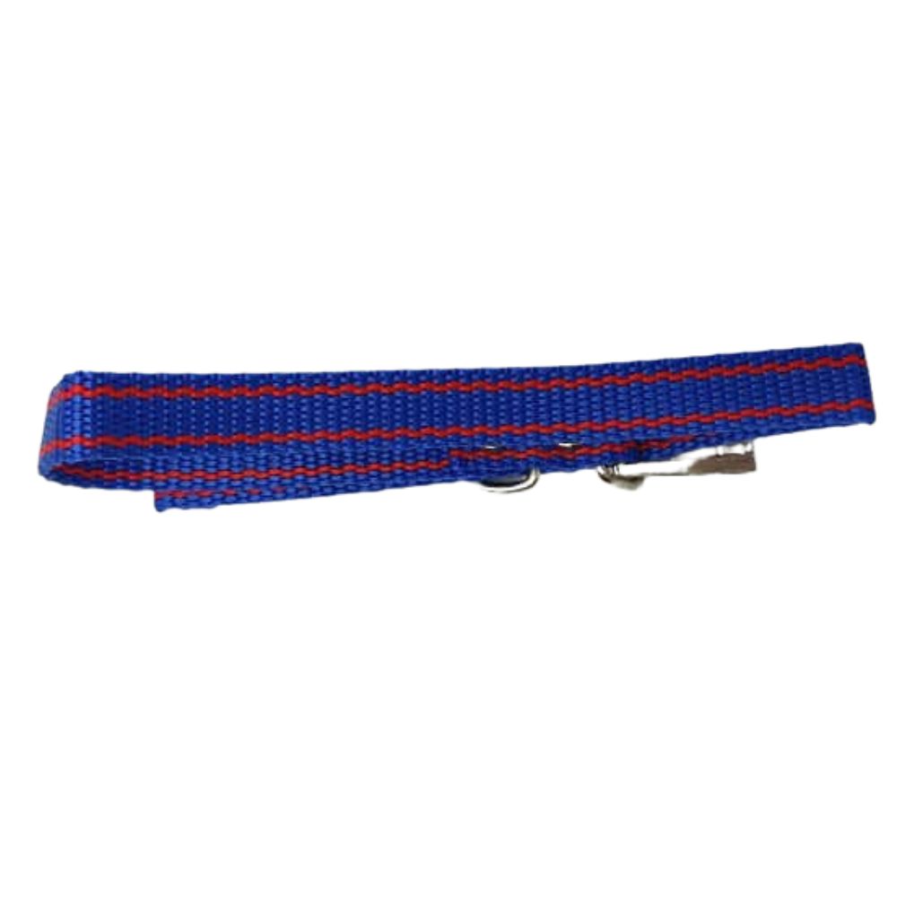 Collar para Perro 41cm