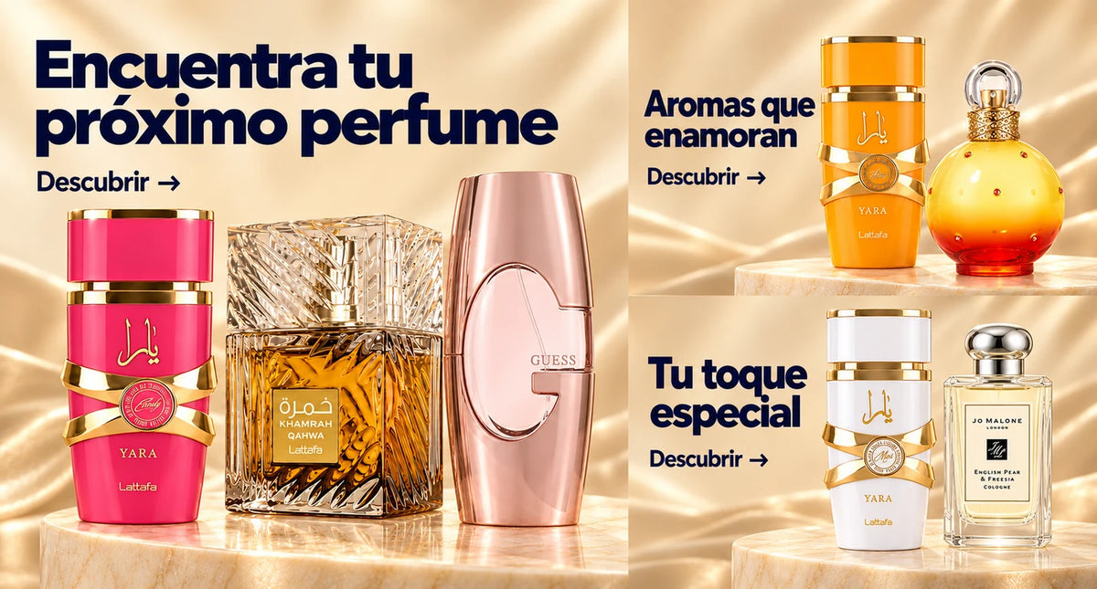 Encuentra tu próximo perfume