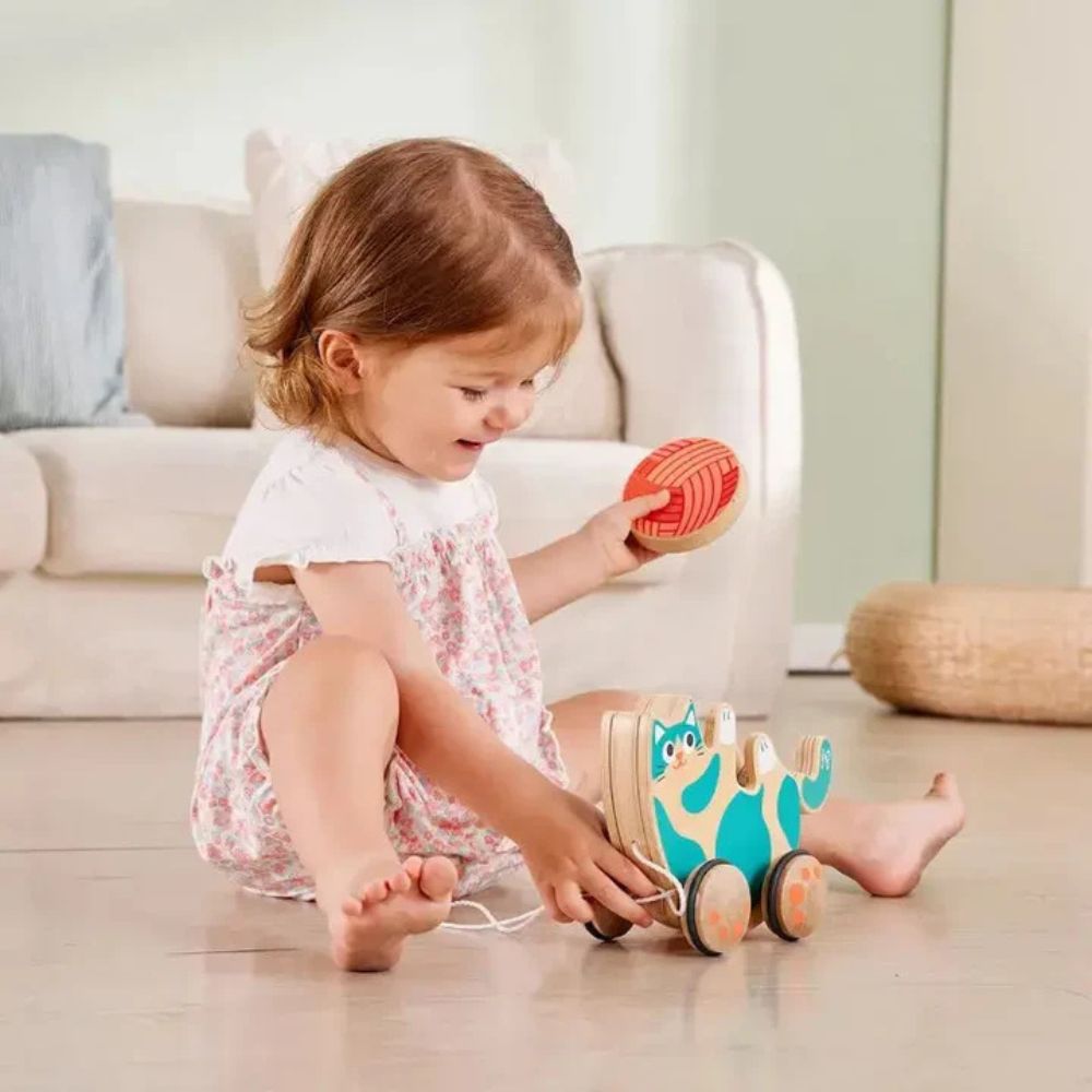 Hape Roll & Rattle Kitten 12m+