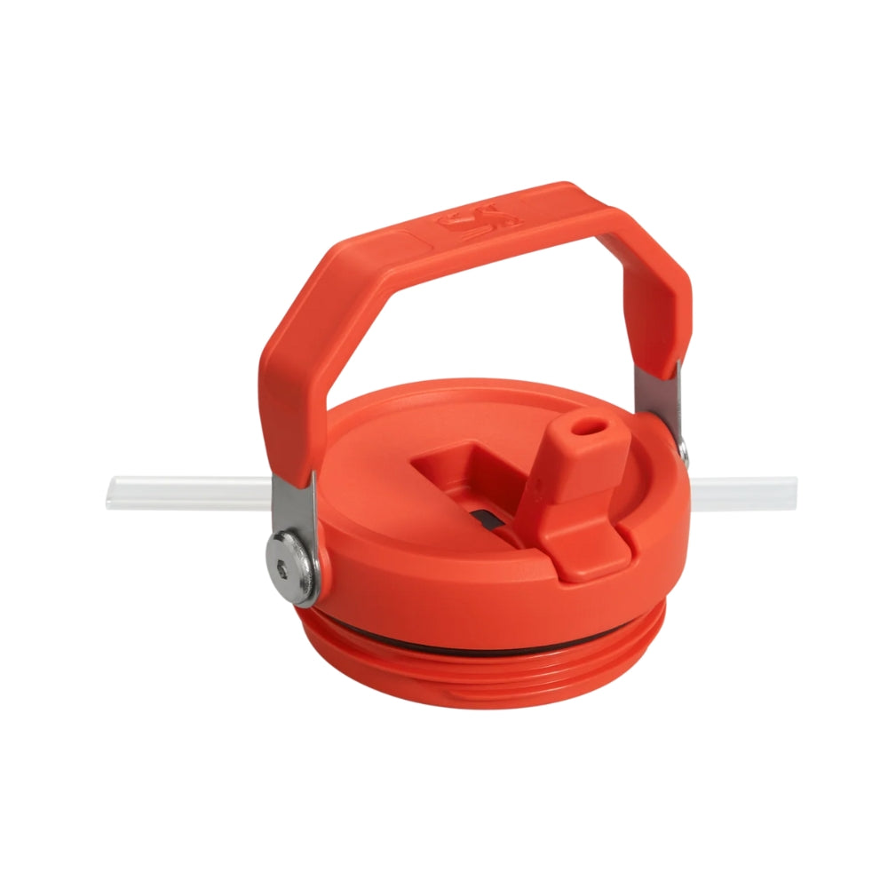 Stanley Termo Classic Flip Straw Tumbler Color Plum 20oz