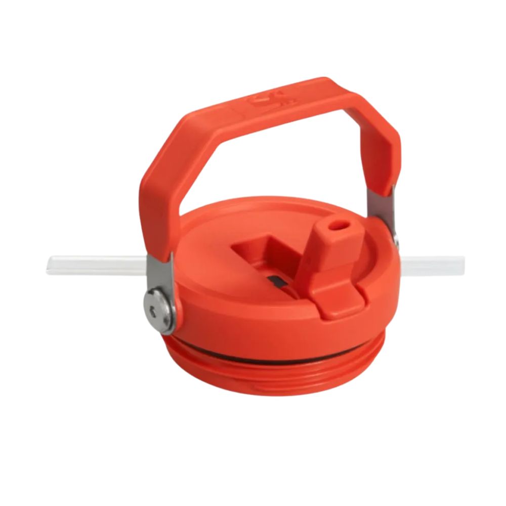 Stanley Termo Flip Straw Tumbler 30oz Plum