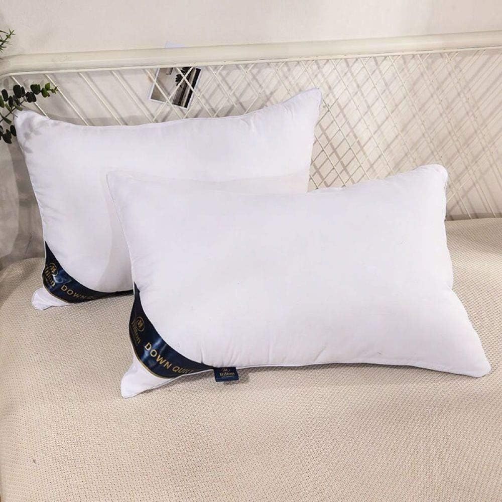Almohada Hilton Down Quilt 48 X 74 cm 1 und