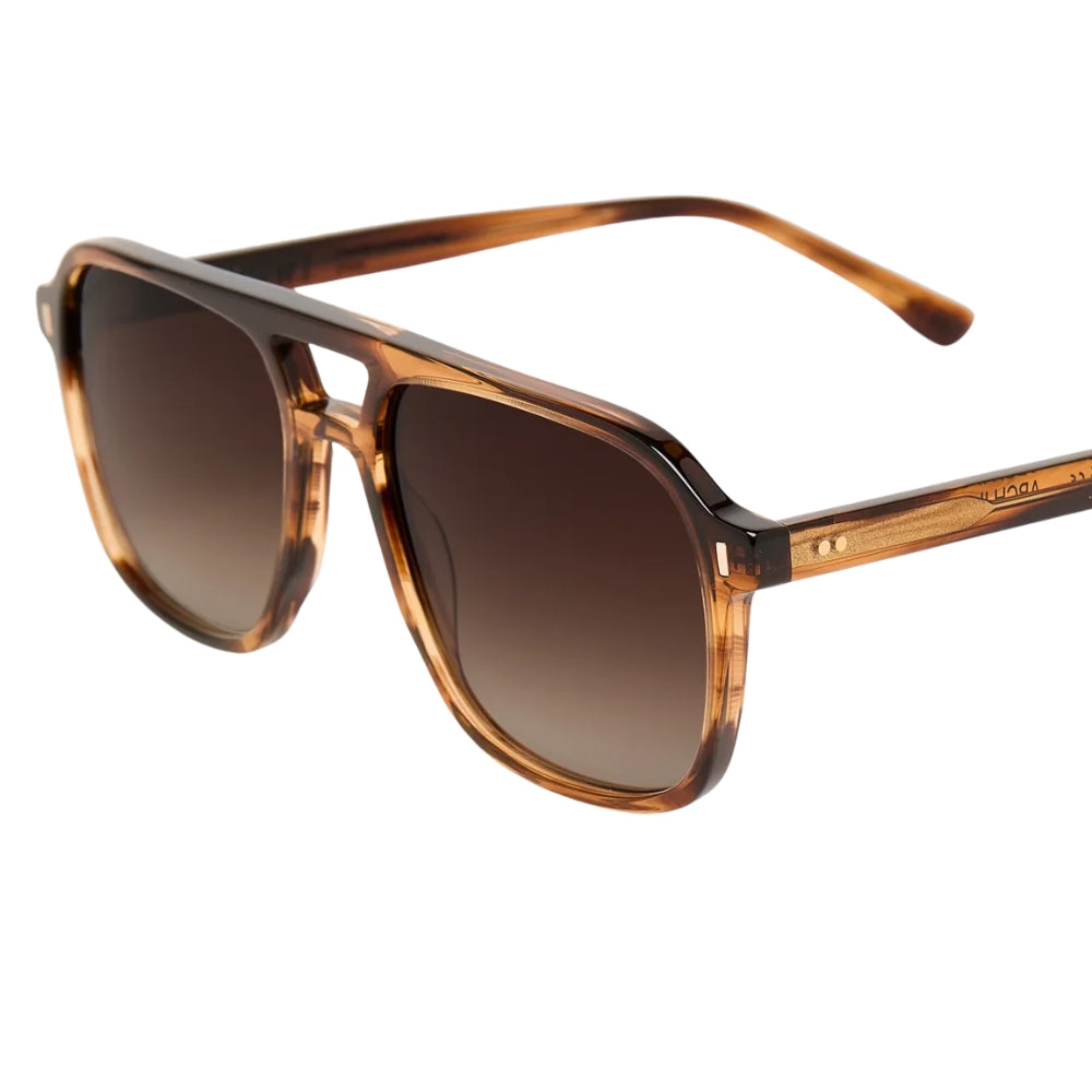 Tiwi LE CLUB ARCH II C2 Acetate Havana