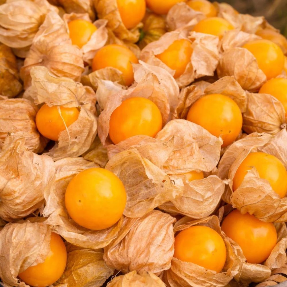 Manguangua Pulpa Uchuva Congelada 300gr