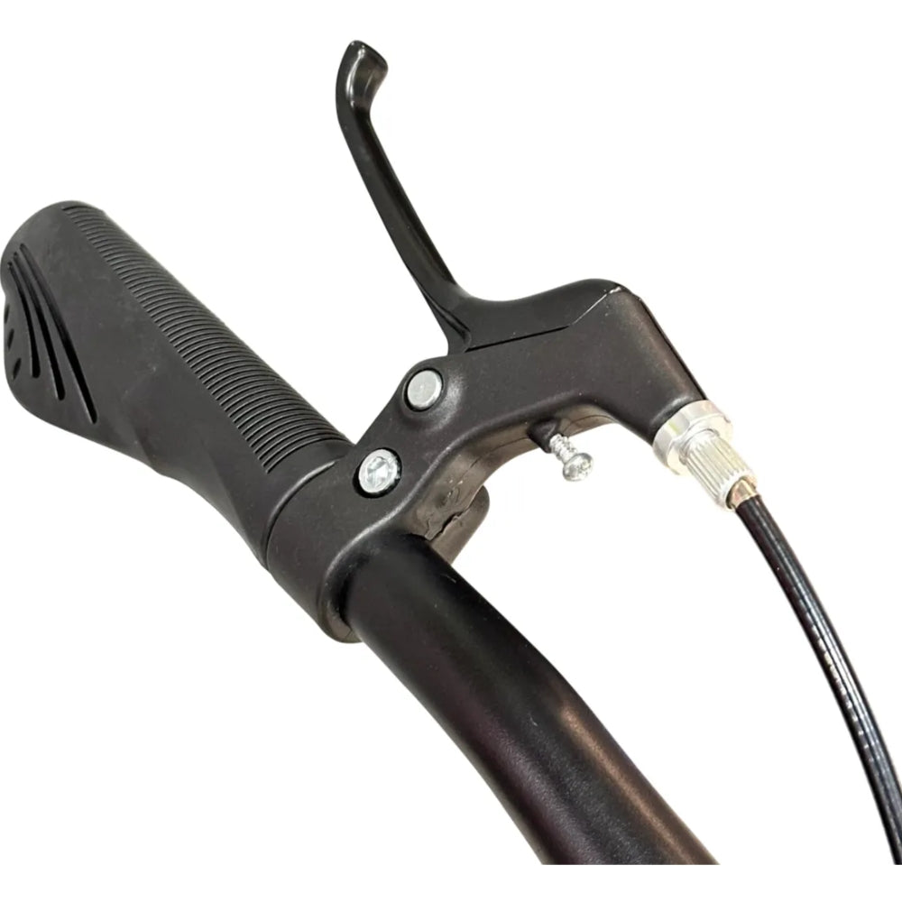 BKS Bicicletas Para Niñas Dash Rin 20