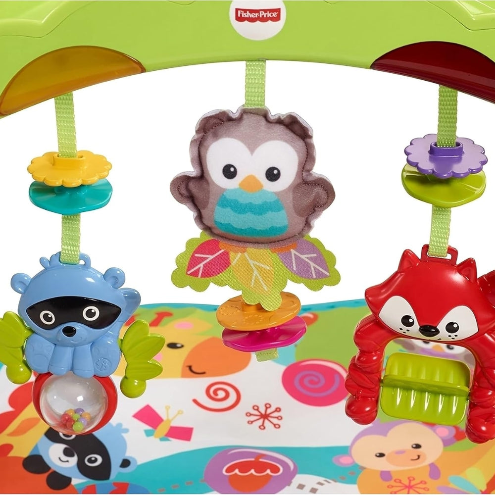 Fisher Price Gimnasio De Actividades para Bebes Primeros Sentidos 0+