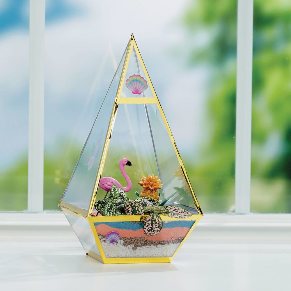Creativity For Kids Tropical Terrarium 7+