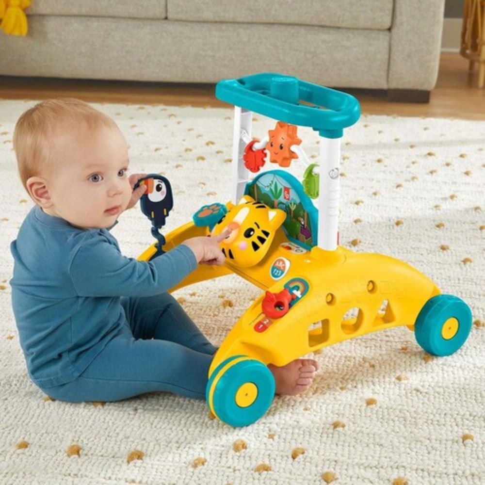 Fisher-Price Andadera de Dos Lados Primeros Pasos 6-36m