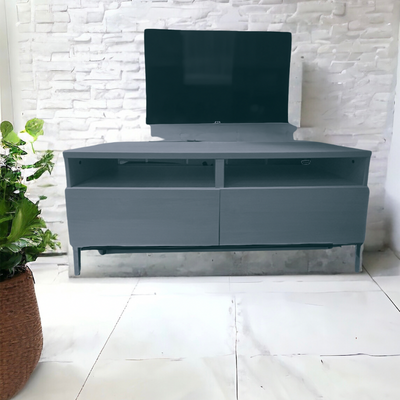 Mueble Para TV con 2 Gavetas Color Black Oak 120 x 40 x 53 cm