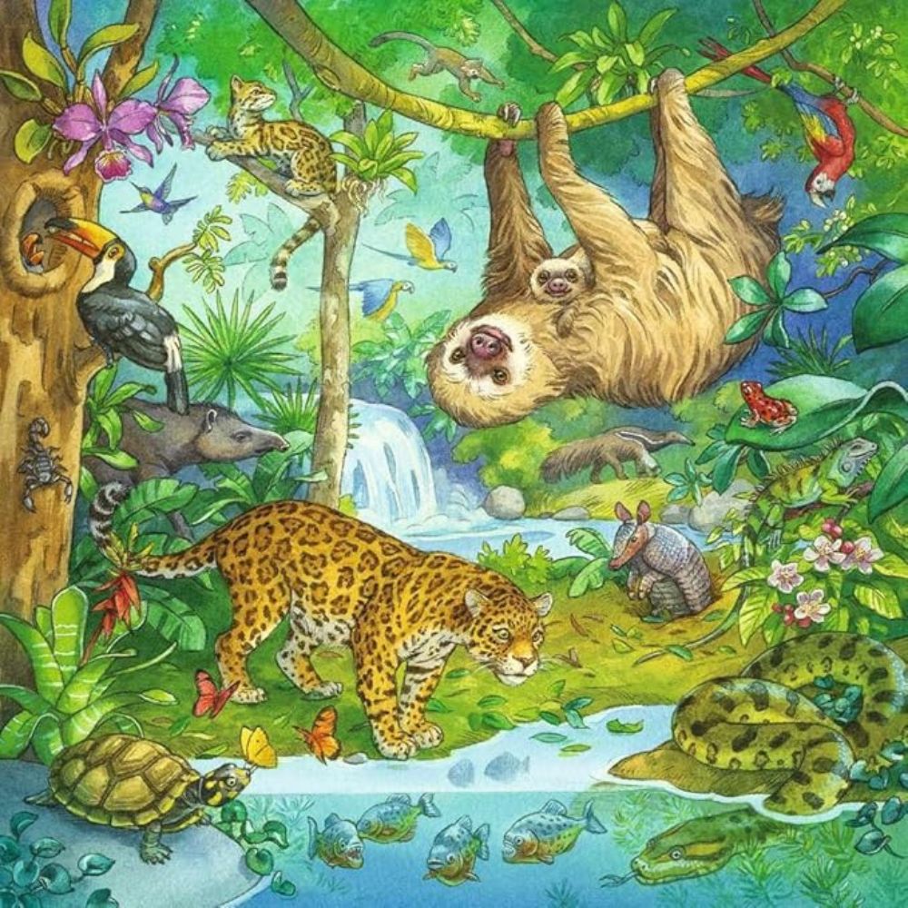 Ravensburger Rompecabezas Jungle Fun 3x49 Piezas