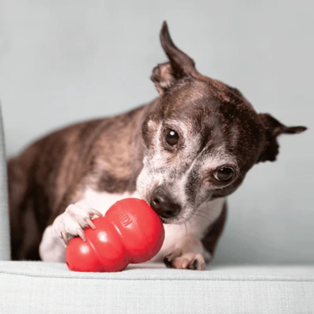 Kong Juguete Para Perro Classic Varios Tamaños Rojo