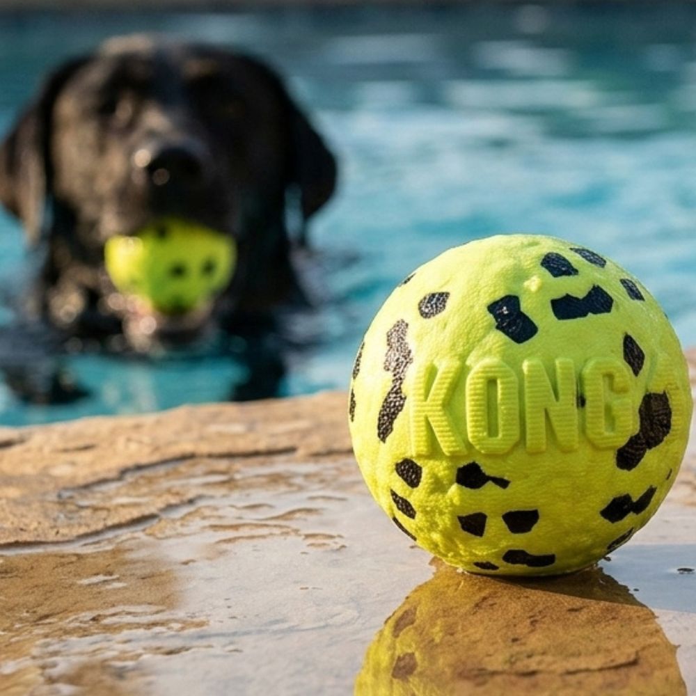 Kong Juguete Para Perros Reflex Ball Flottant Medium