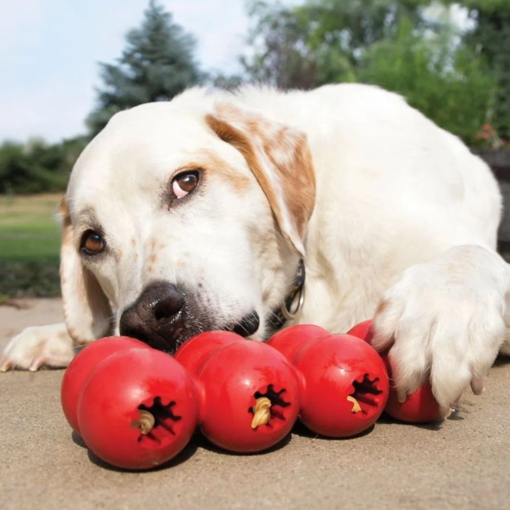 Kong Juguete Para Perro Goodie Ribbon Large 13-30kg Rojo