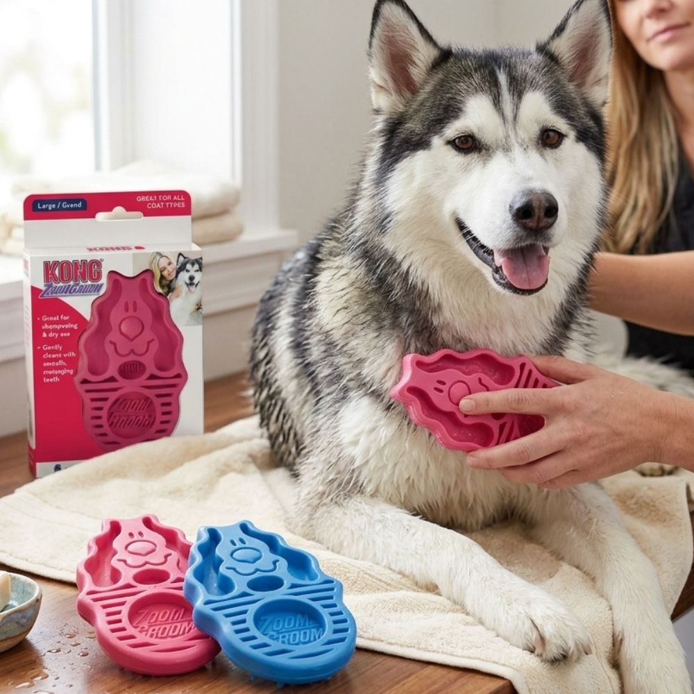Kong Cepillo De Masaje Para Perros Zoomgroom Dos Colores