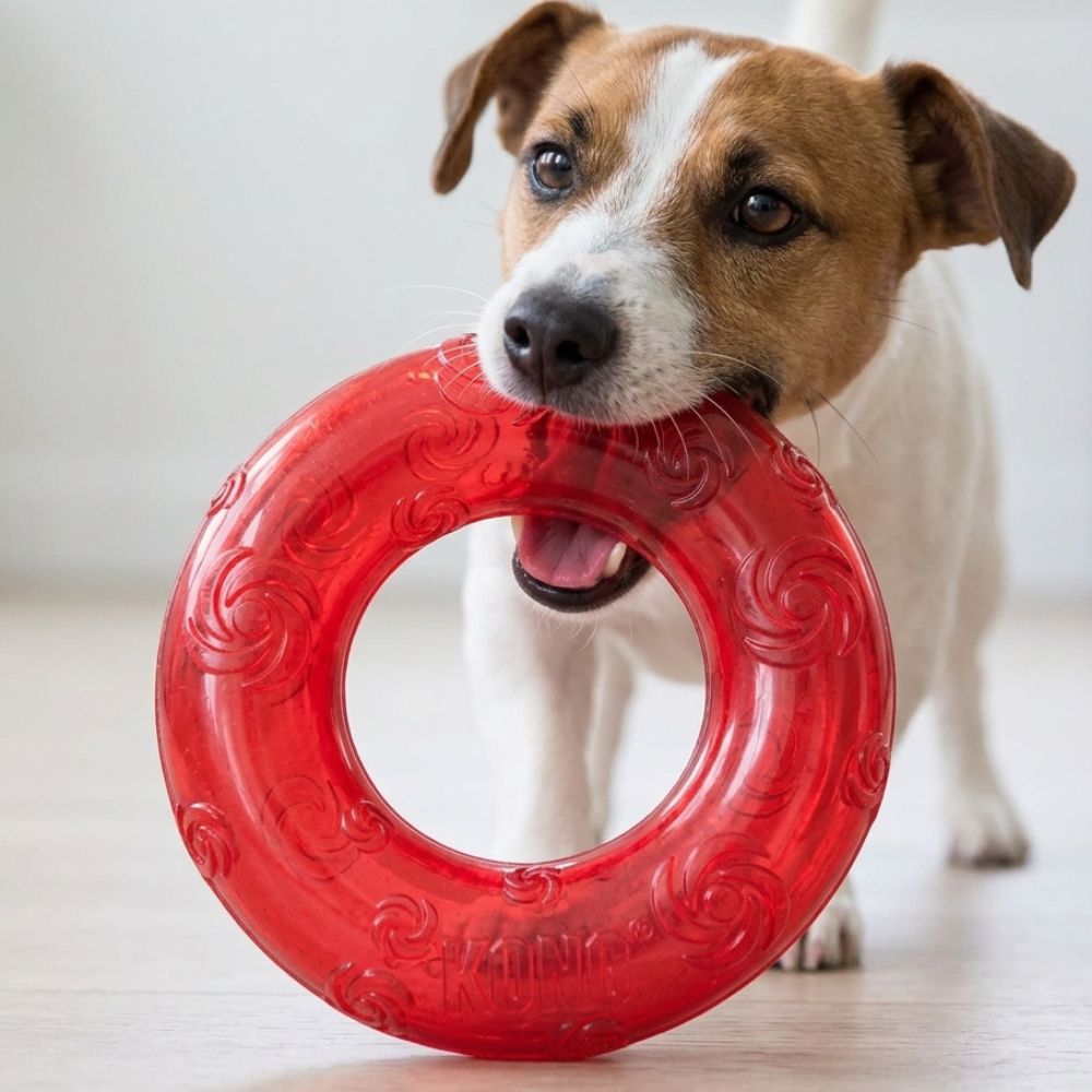 Kong Juguete Para Perros Squeezz Con Sonido