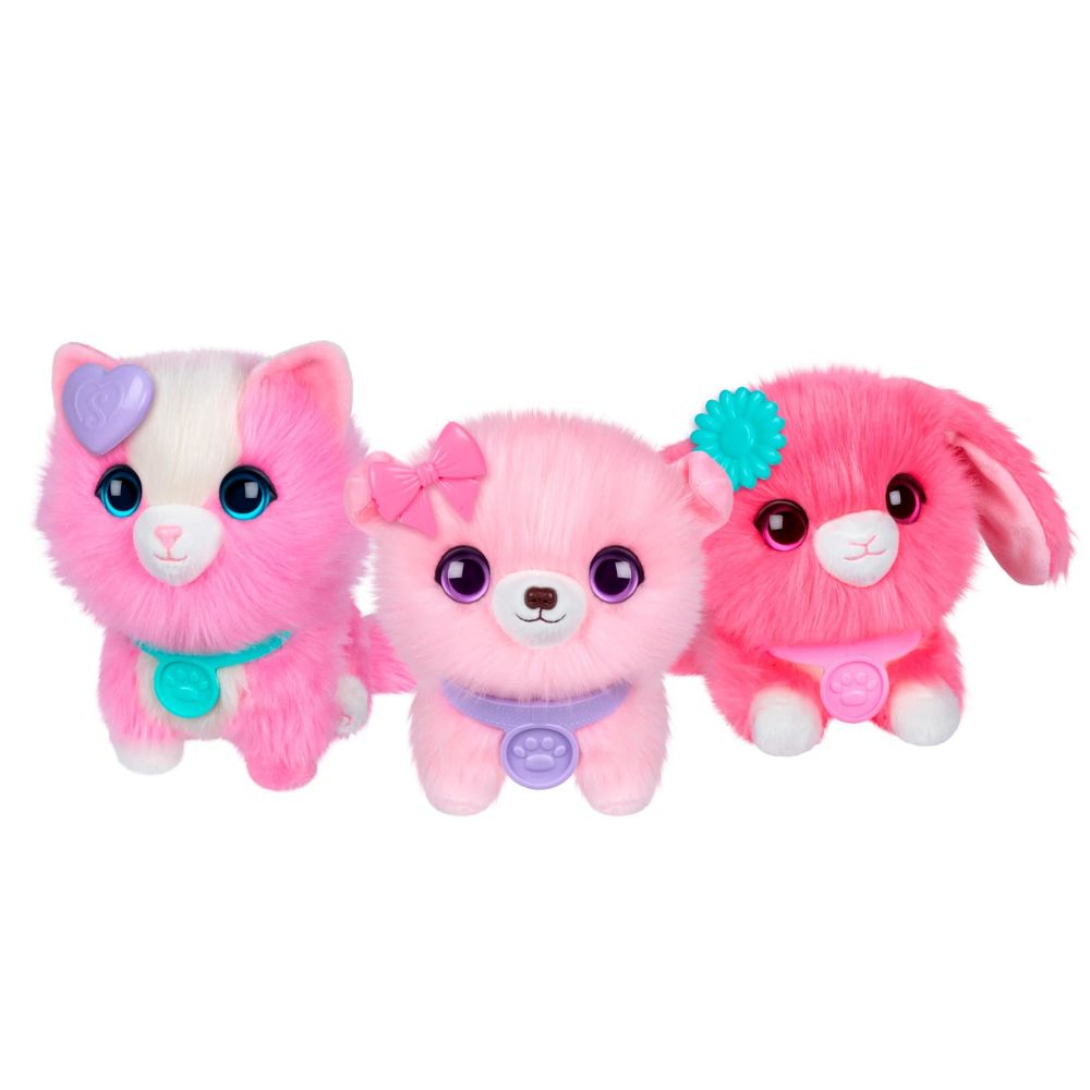 Moose Pet Scruffs Mascota Sorpresa 1 Kit 2+