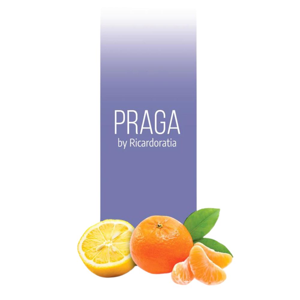 Home Luxury Scents Aroma Praga 100ml Para Difusor