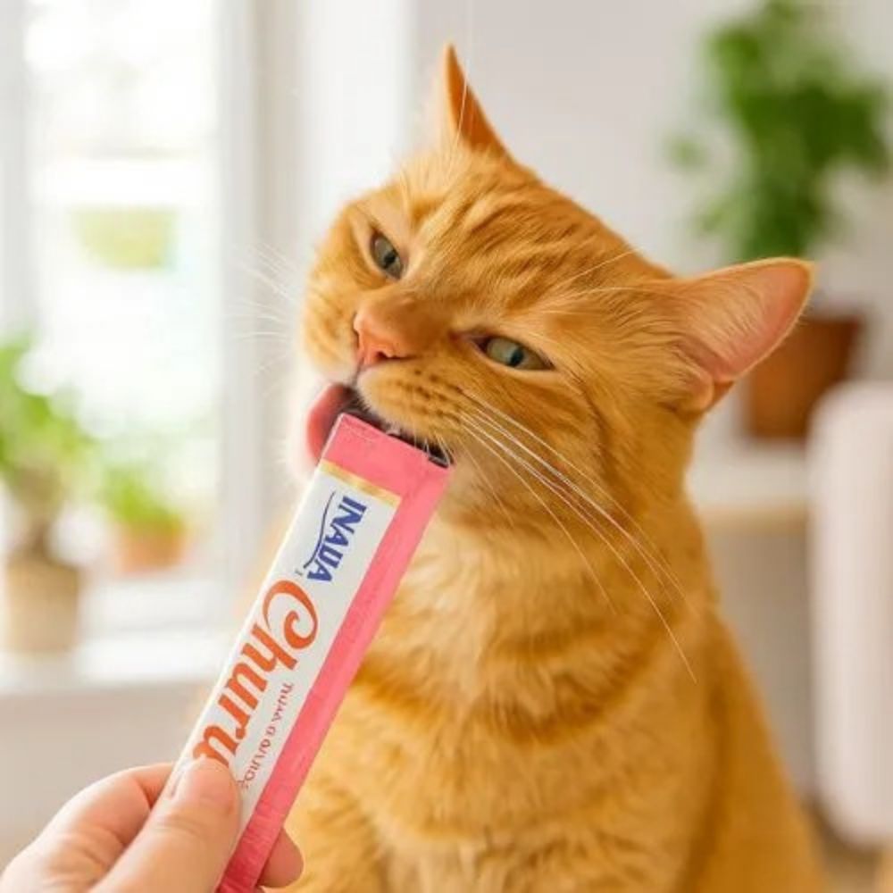 Inaba Churu Snack Húmedo Para Gatos Atún Con Salmón 4Und