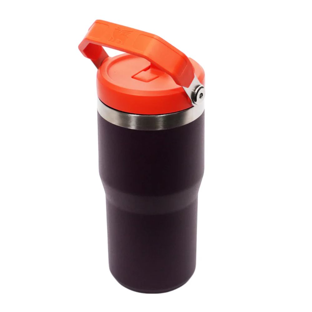 Stanley Termo Classic Flip Straw Tumbler Color Plum 20oz