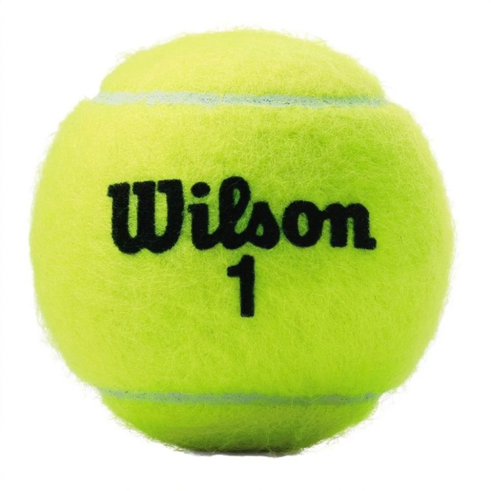 Wilson Pelotas De Tennis Championships Extra Duty (T1001) 3Und