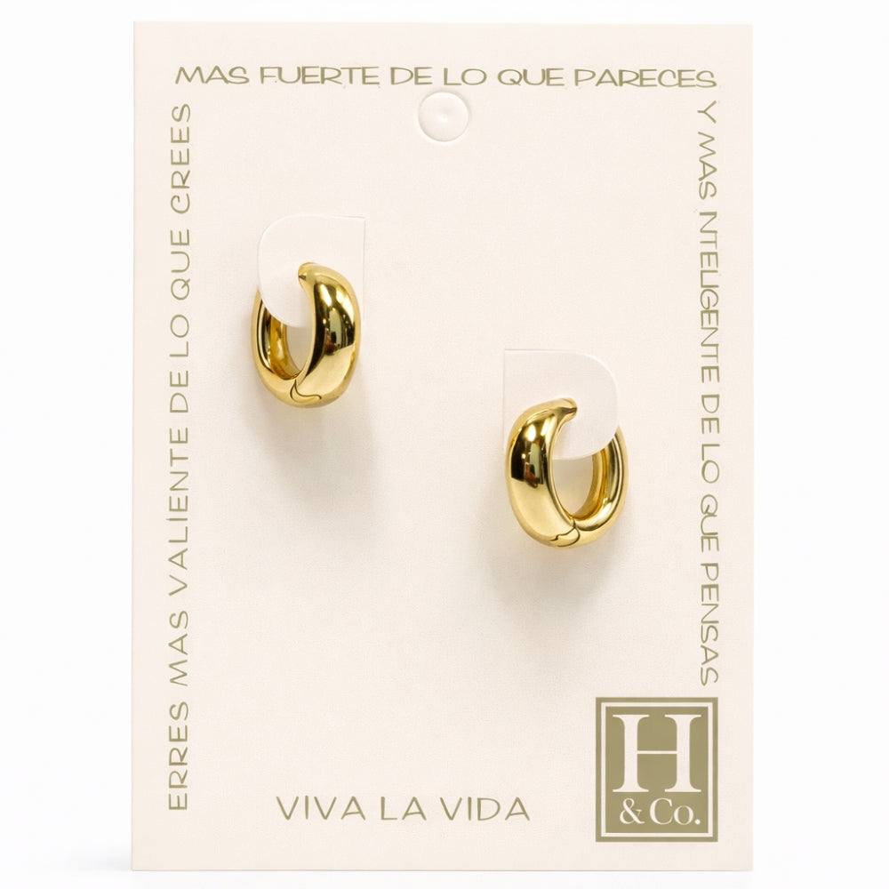 H&Co Zarcillo Para Damas Argolla Pequeña