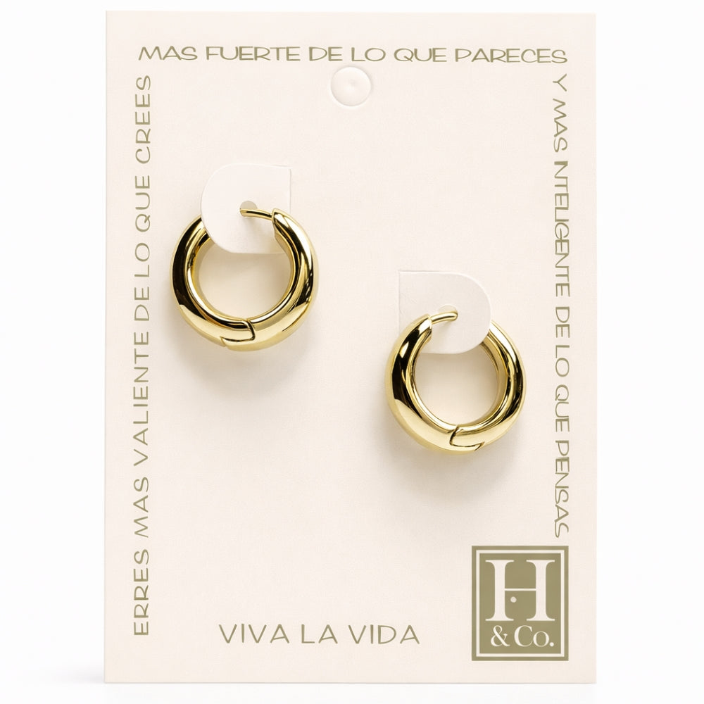 H&Co Zarcillo Para Damas Argolla Grande