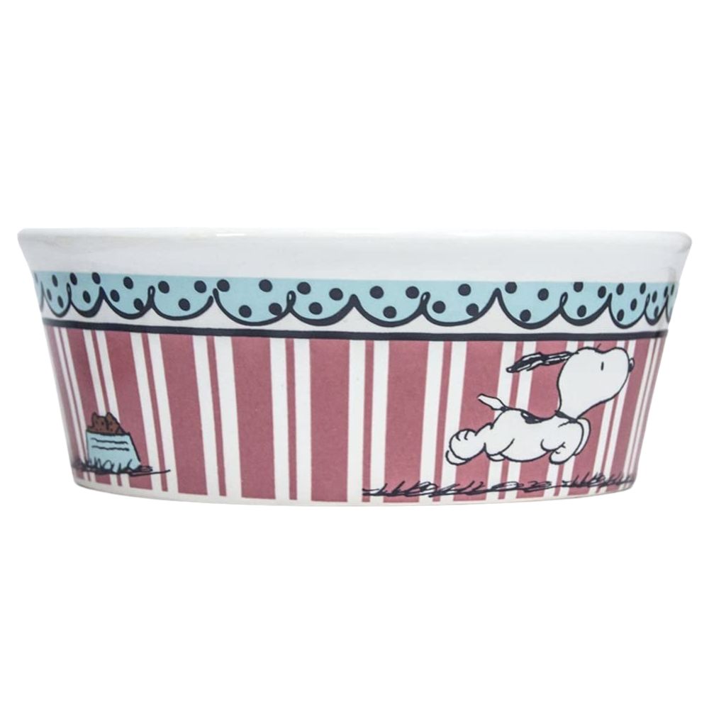 Bowl de Comida para Mascota Snoopy Rayas 13cm