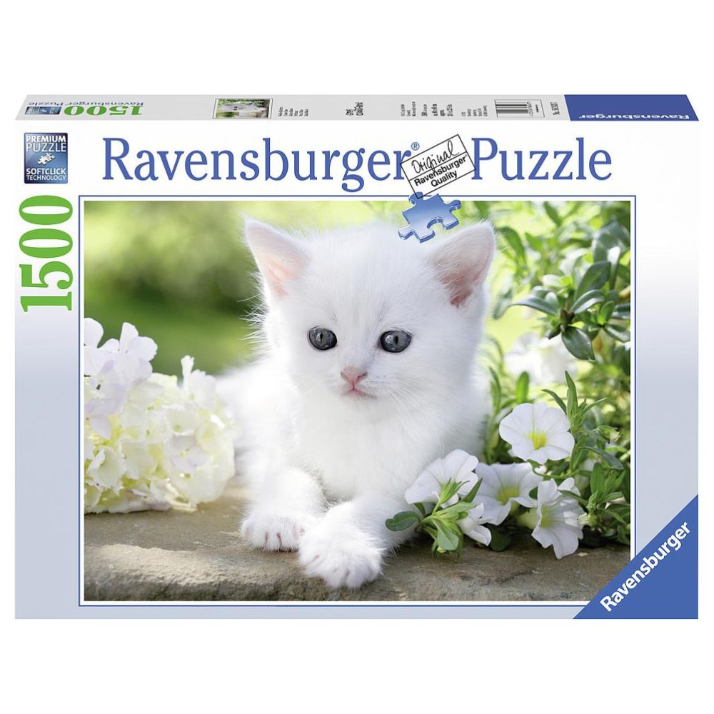 Ravensburger Rompecabezas White Kitten 1500 Piezas