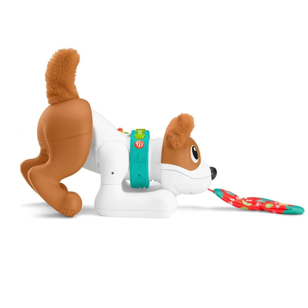 Fisher Price Crawl With Me Puppy 6-36meses