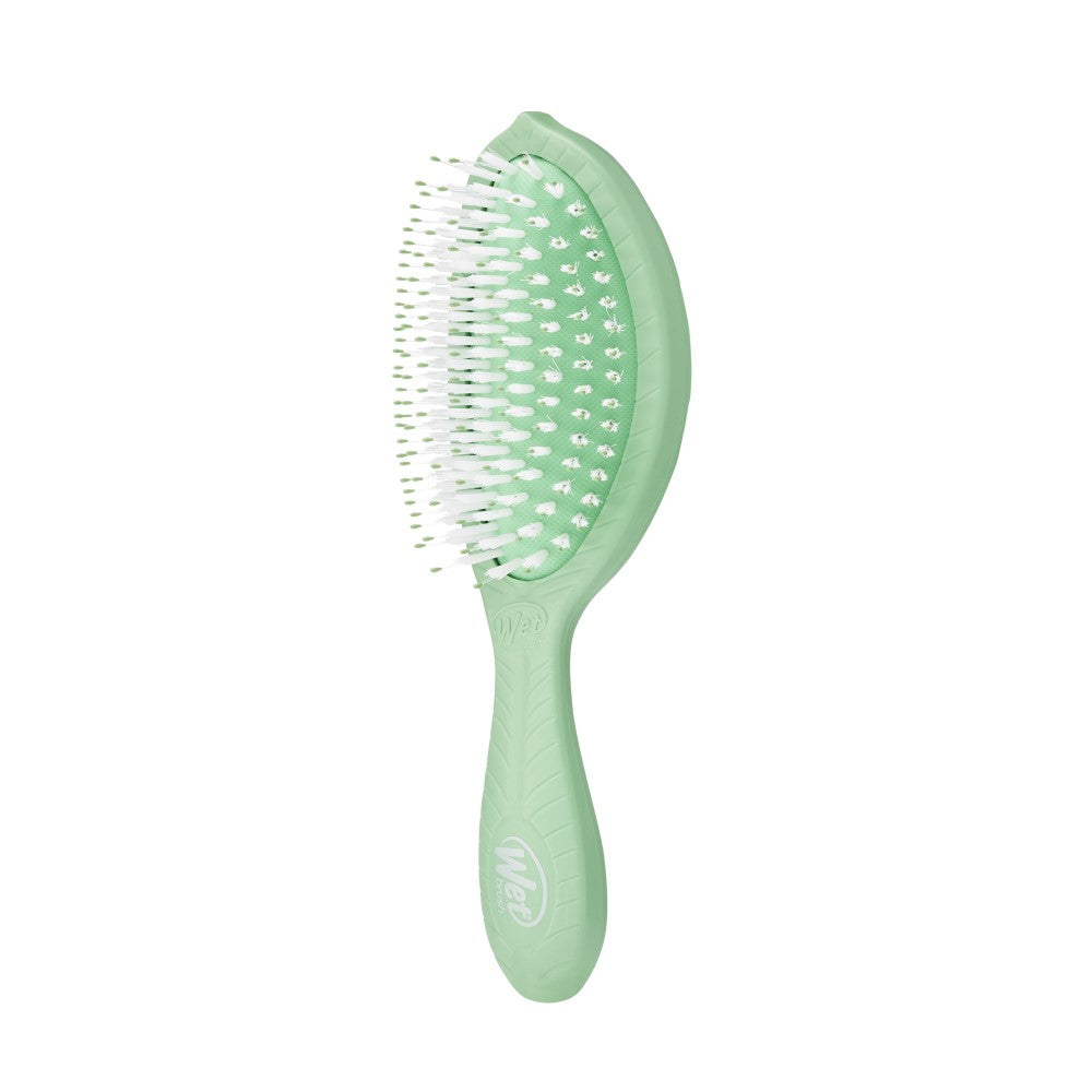 Wet Brush Go Green Color Verde